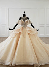 Champagne Gold Ball Gown Tulle Sequins High Neck Backless Wedding Dress